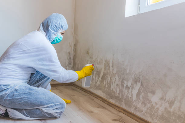 Licensed Crawl Space Mold Removal service in Cary, NC - WQB Mold Removal