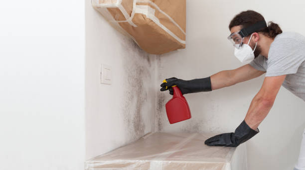 Professional Crawl Space Mold Removal technician working in Cary, NC