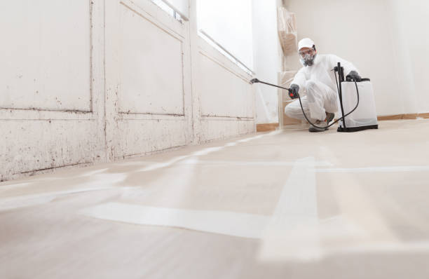 24/7 Emergency Crawl Space Mold Removal experts in Cary, NC
