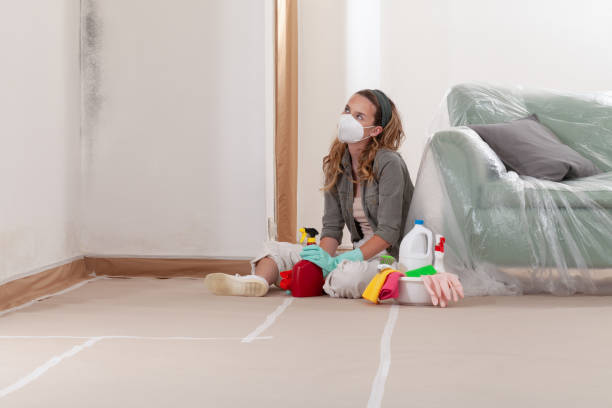 Trusted Crawl Space Mold Removal service in Cary, NC - WQB Mold Removal