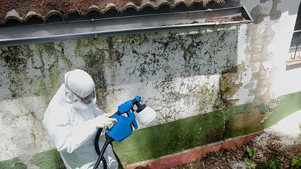 Top rated local Crawl Space Mold Removal specialists in Cary, NC
